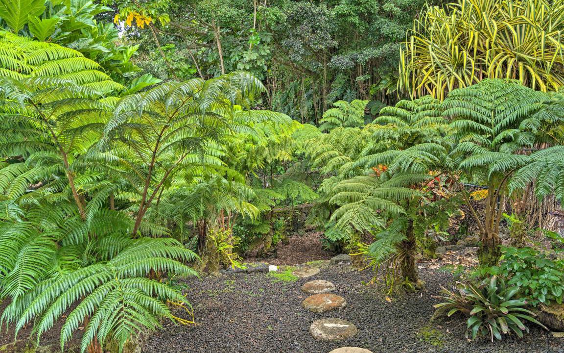 Photo of Others in Hilo