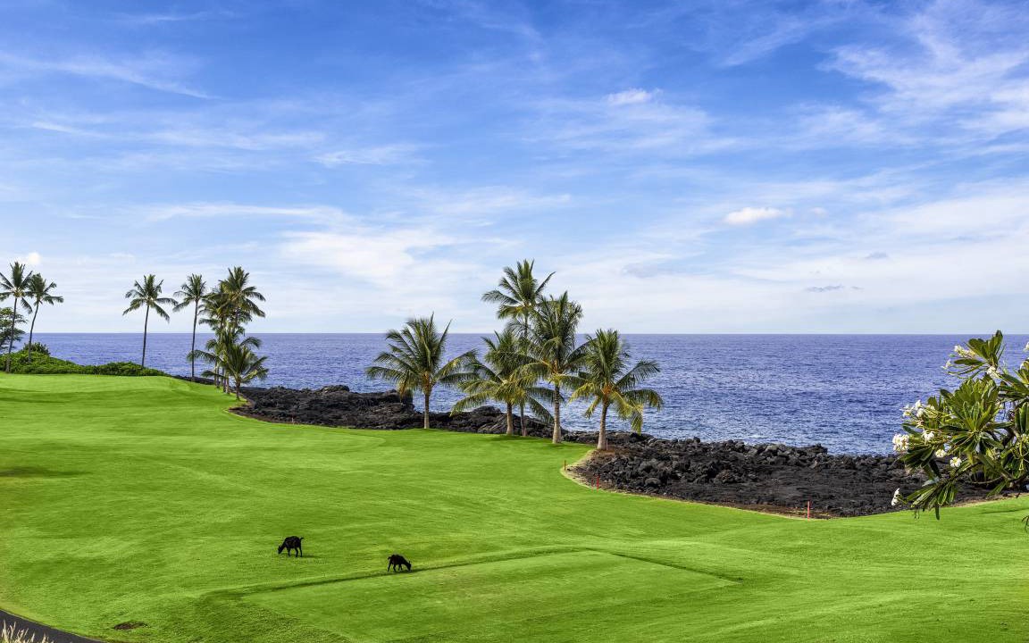 Photo of Others in Keauhou