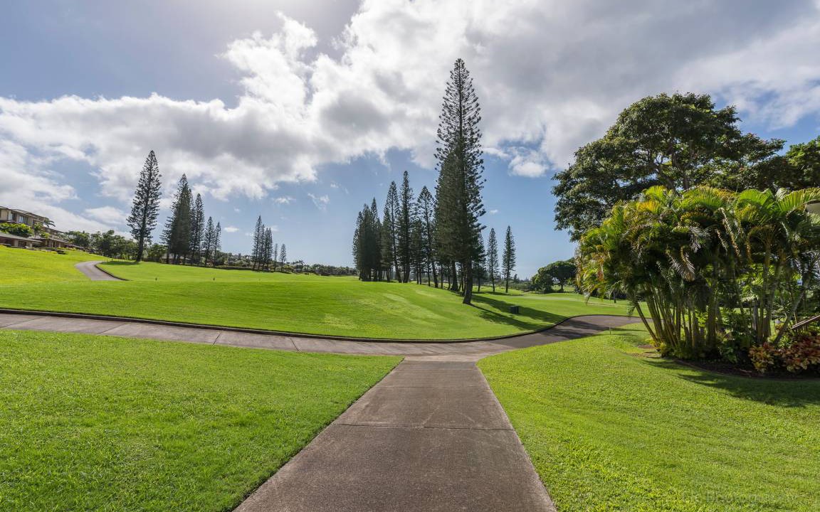 Photo of Others in Kapalua