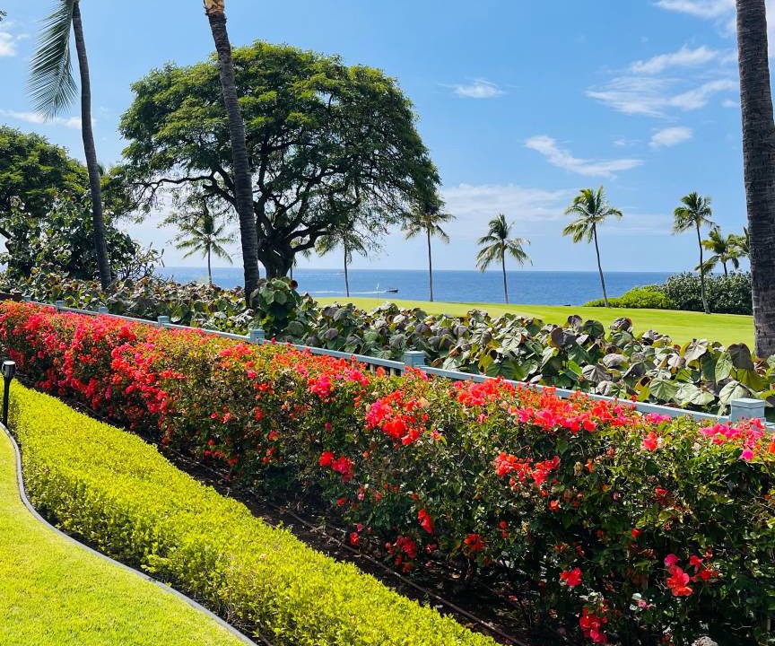 Photo of Others in Keauhou