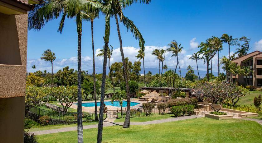 Photo of Others in Kaanapali
