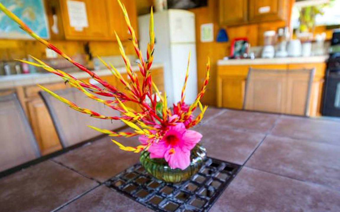 Photo of Kitchen in Kapoho