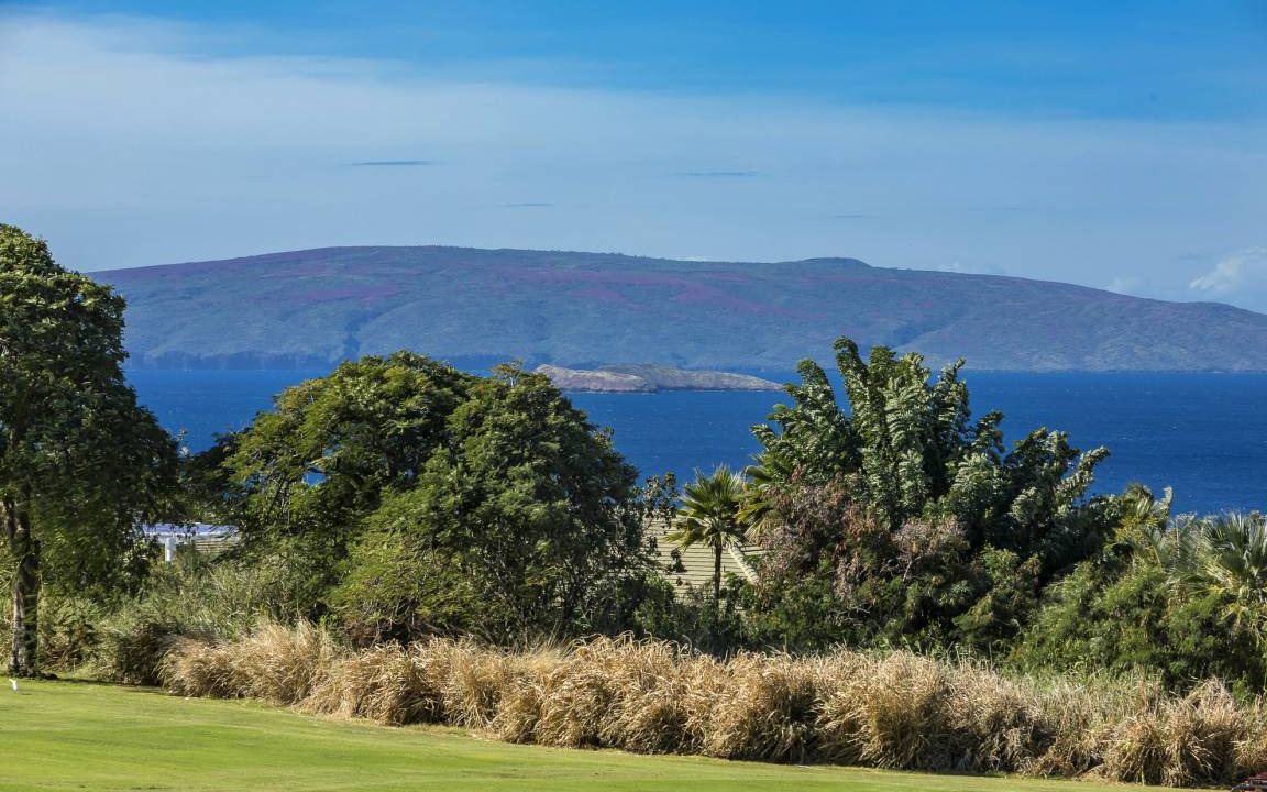 Photo of Others in Wailea