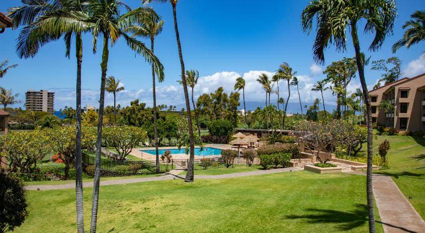 Photo of Others in Kaanapali