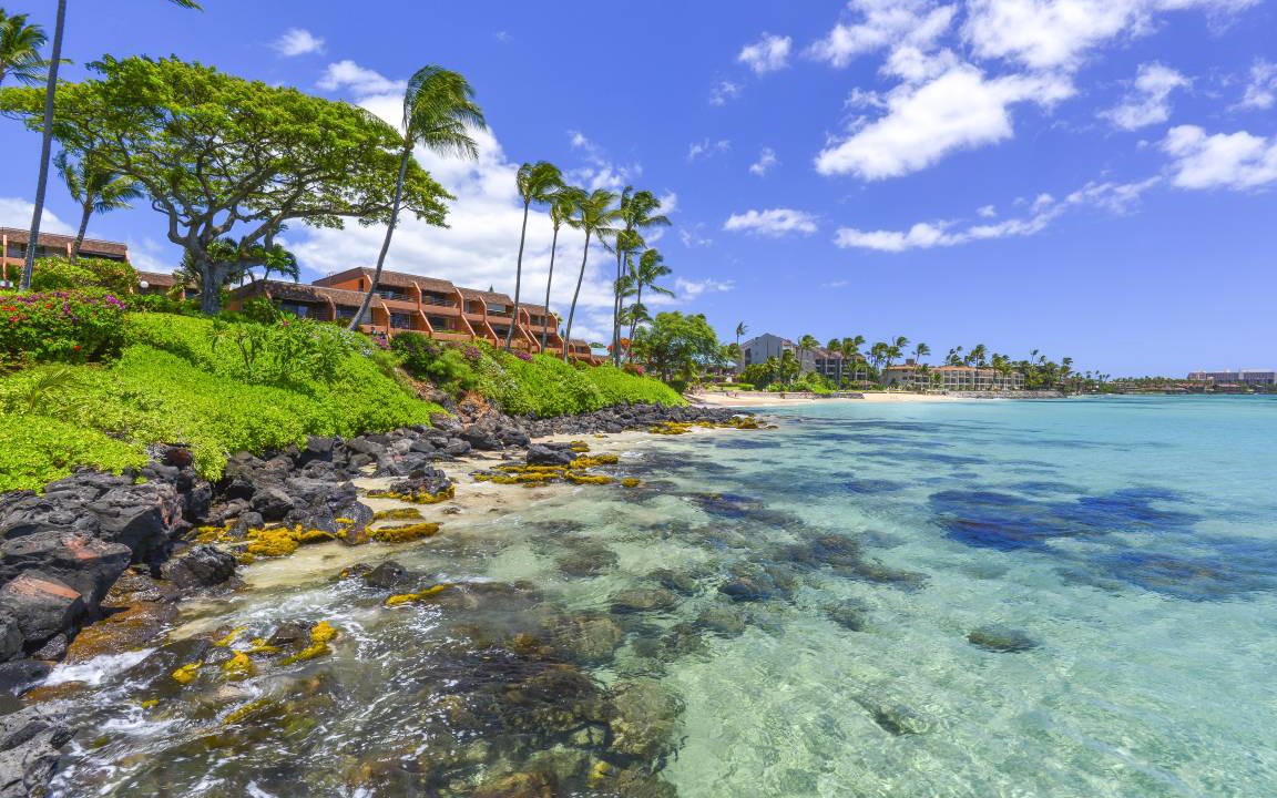 Photo of Others in Honokowai