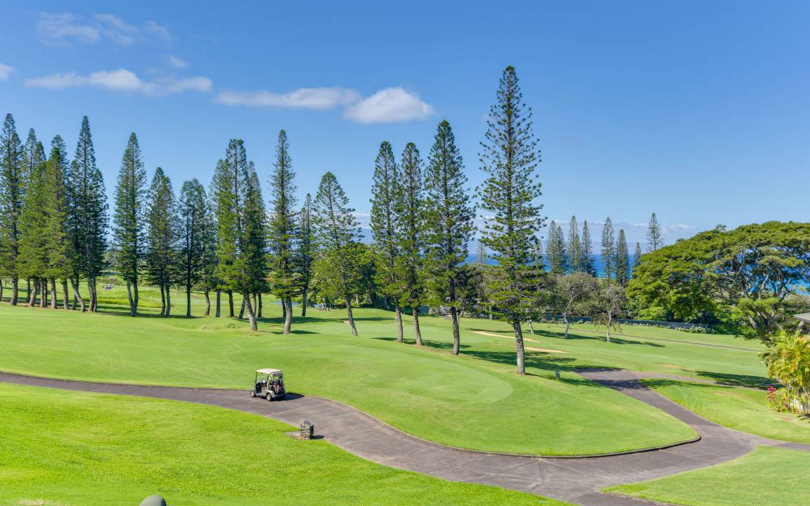 Photo of Outdoor in Kapalua