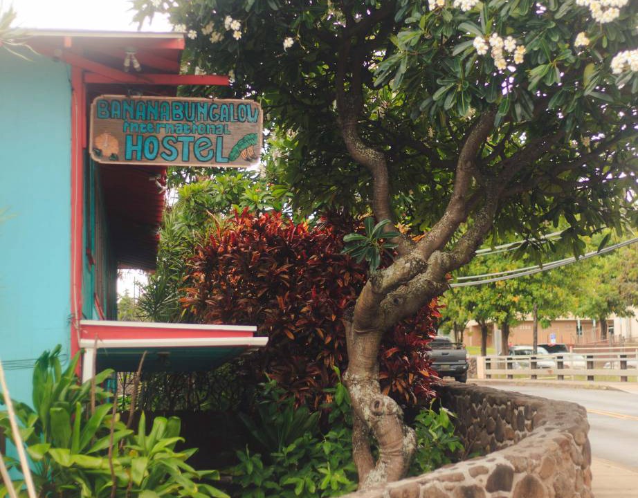 Photo of Others in Wailuku