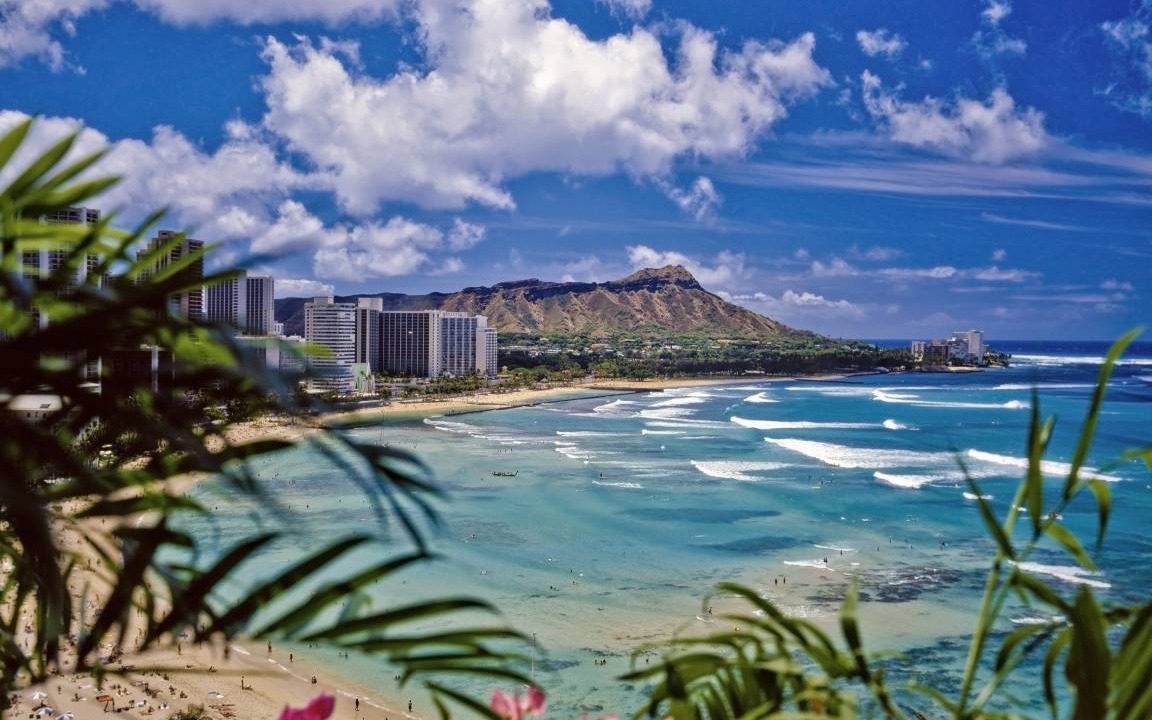 Photo of Others in Waikiki