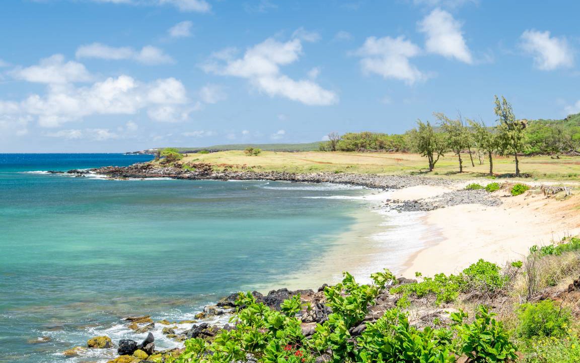 Photo of Others in Maunaloa