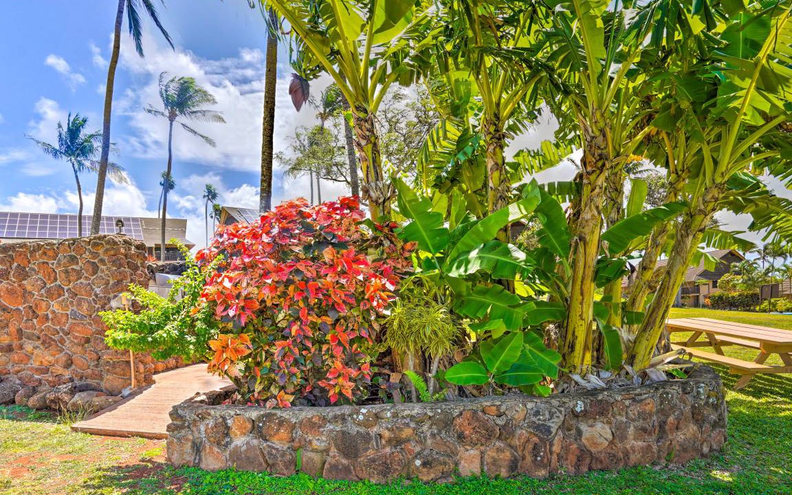 Photo of Others in Maunaloa
