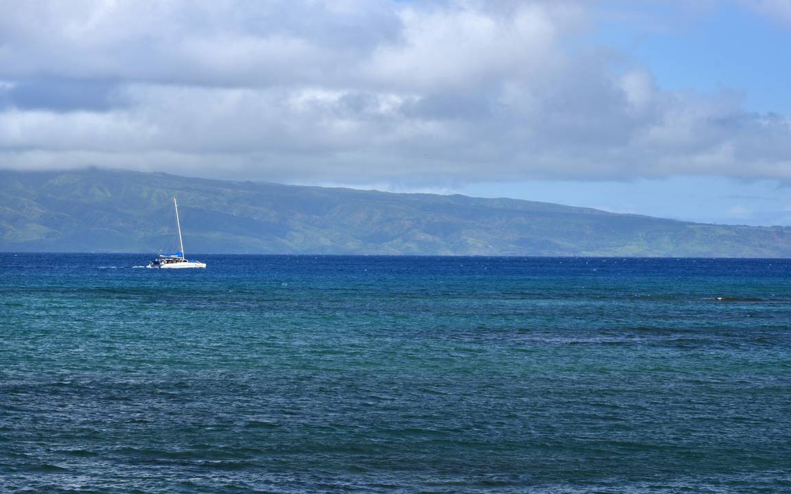 Photo of Others in Kahana