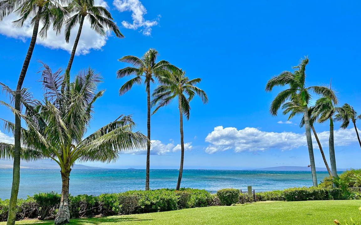 Photo of Others in Maalaea