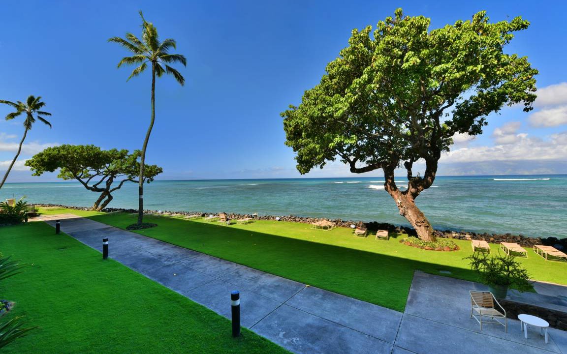 Photo of Others in Kahana
