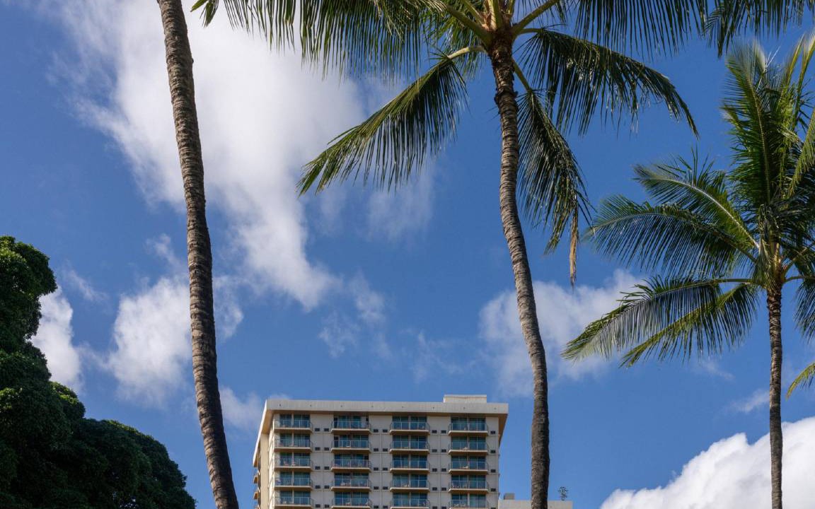 Photo of Others in Waikiki