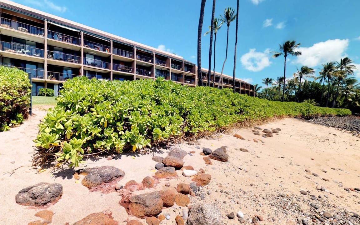 Photo of Others in Maalaea