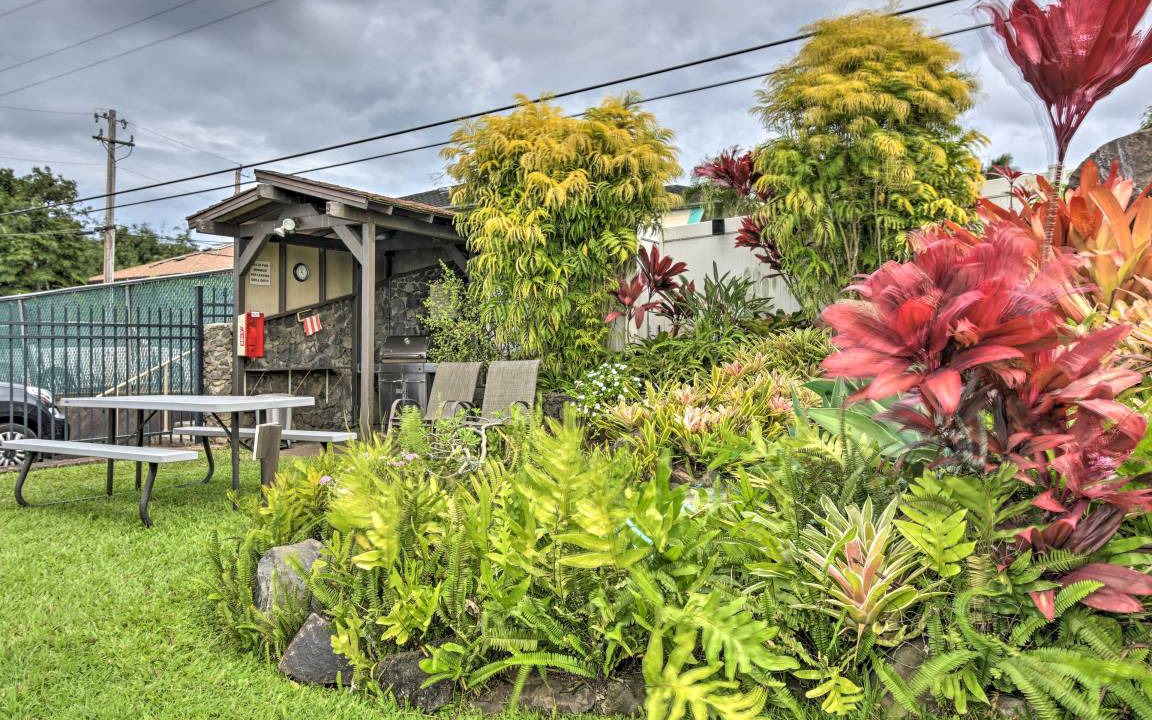 Photo of Others in Napili