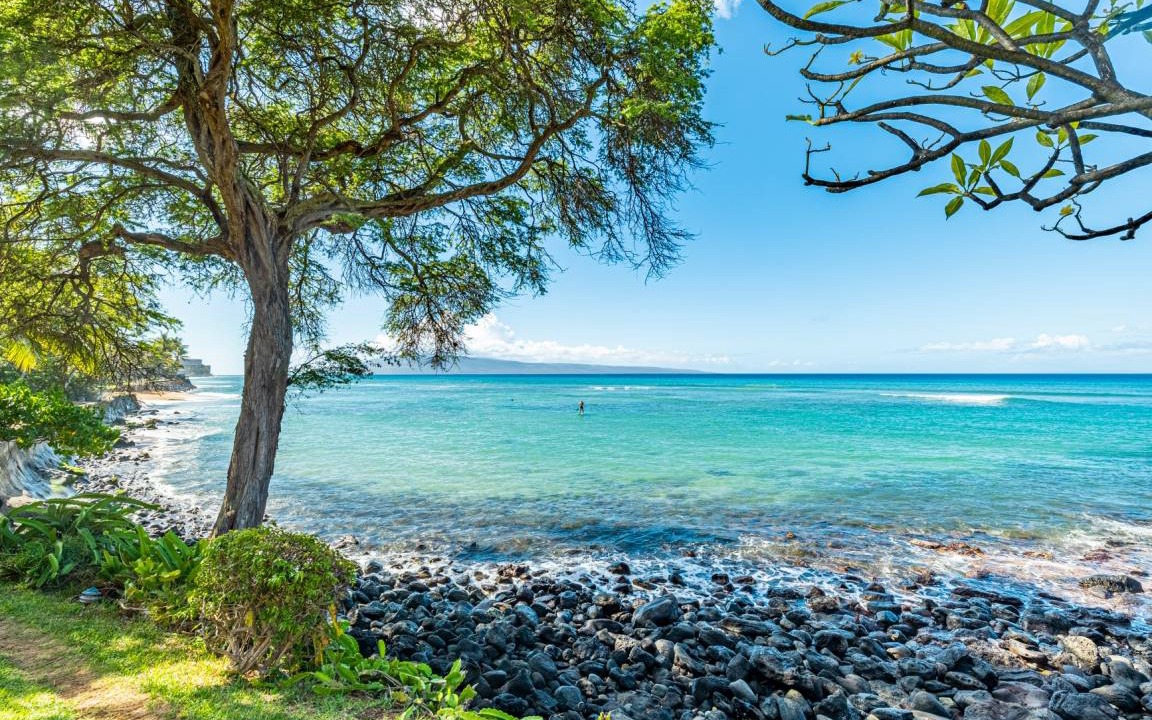 Photo of Others in Honokowai