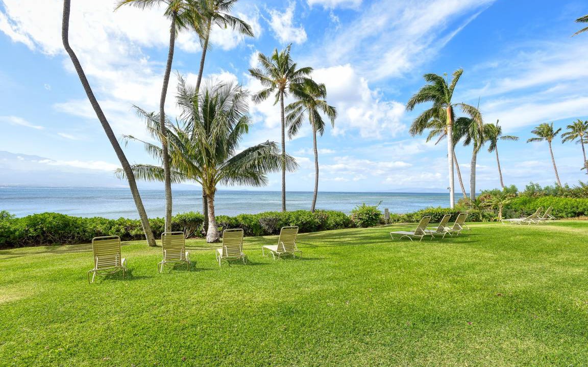 Photo of Others in Maalaea
