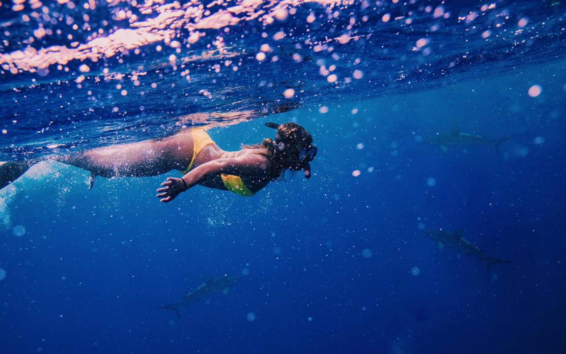 Photo of Others in Waikiki