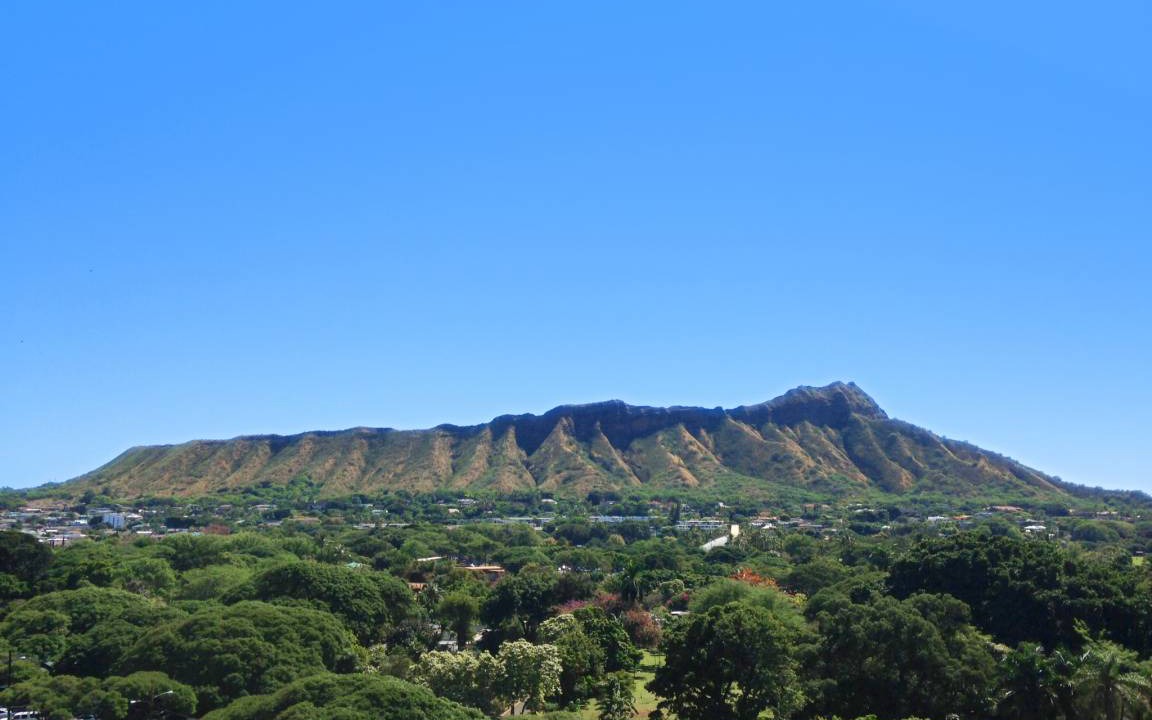 Photo of Others in Waikiki