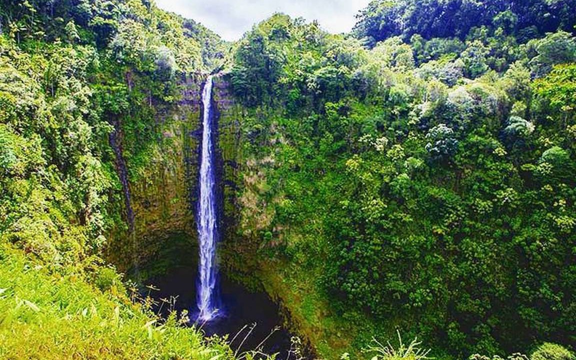 Photo of Others in Kapoho