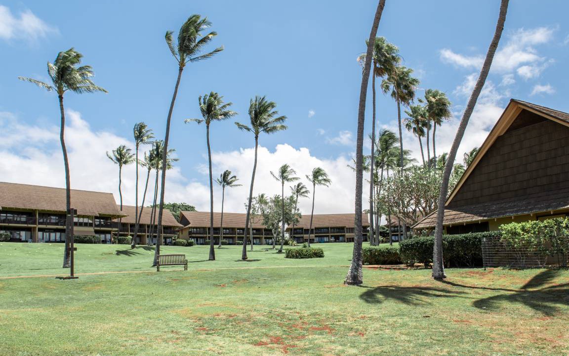 Photo of Others in Maunaloa