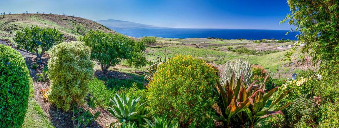 Photo of Others in Kohala Estates