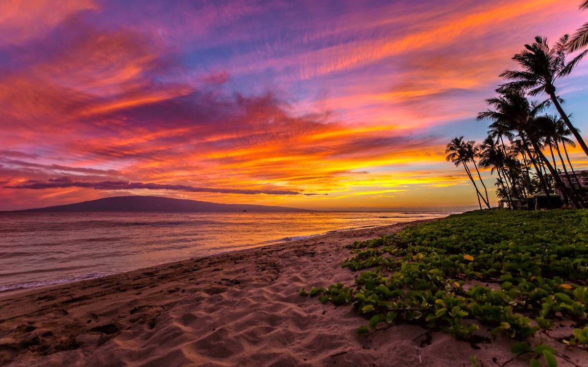 Photo of Others in Kaanapali