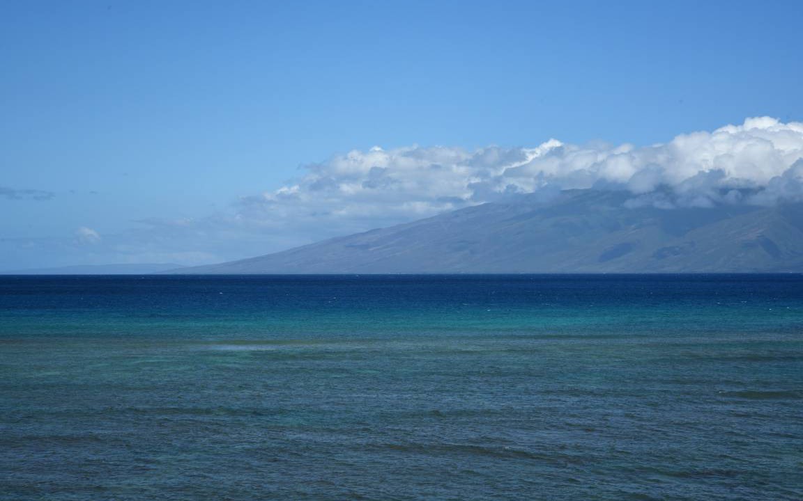Photo of Others in Kahana