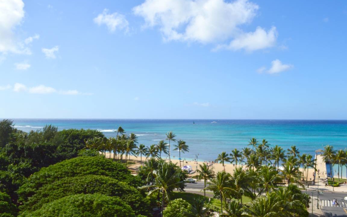 Photo of Others in Waikiki