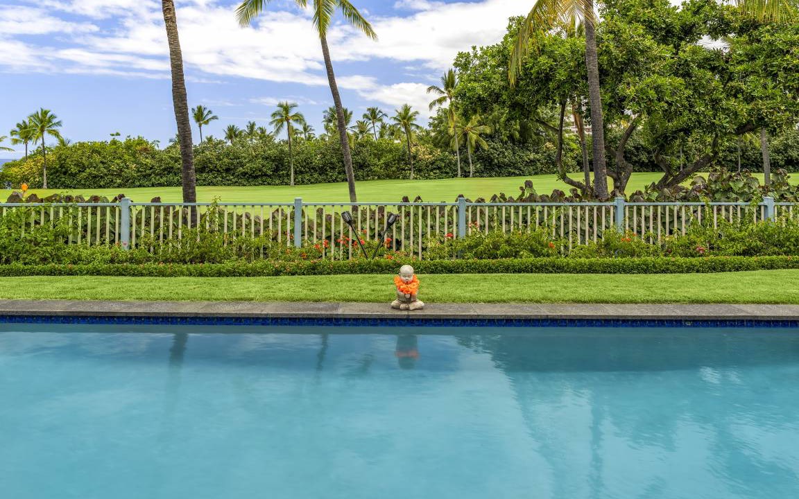 Photo of Others in Keauhou