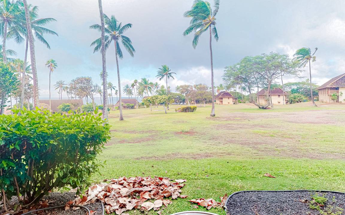 Photo of Others in Maunaloa