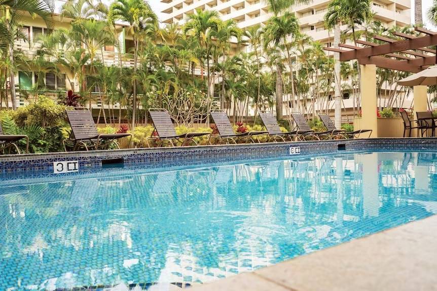 Photo of Others in Waikiki