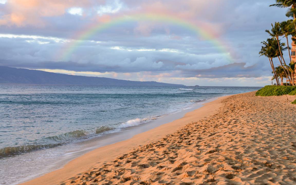 Photo of Others in Kaanapali
