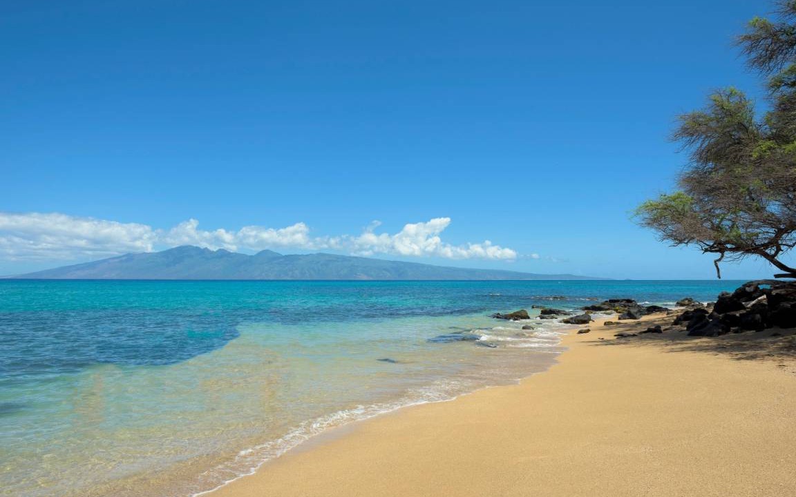 Photo of Others in Kahana