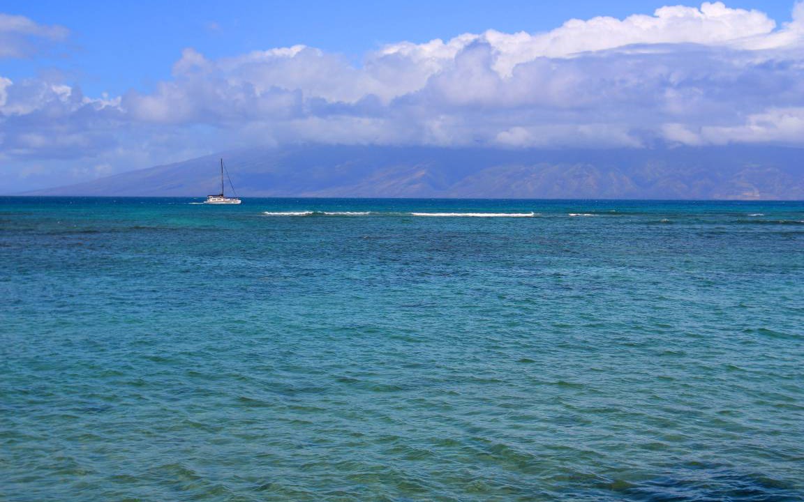Photo of Others in Kahana