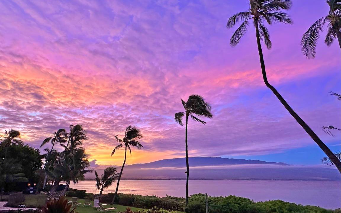 Photo of Others in Maalaea