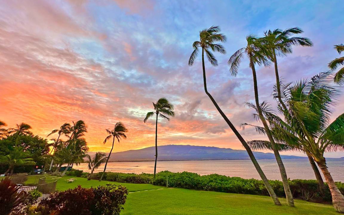 Photo of Others in Maalaea