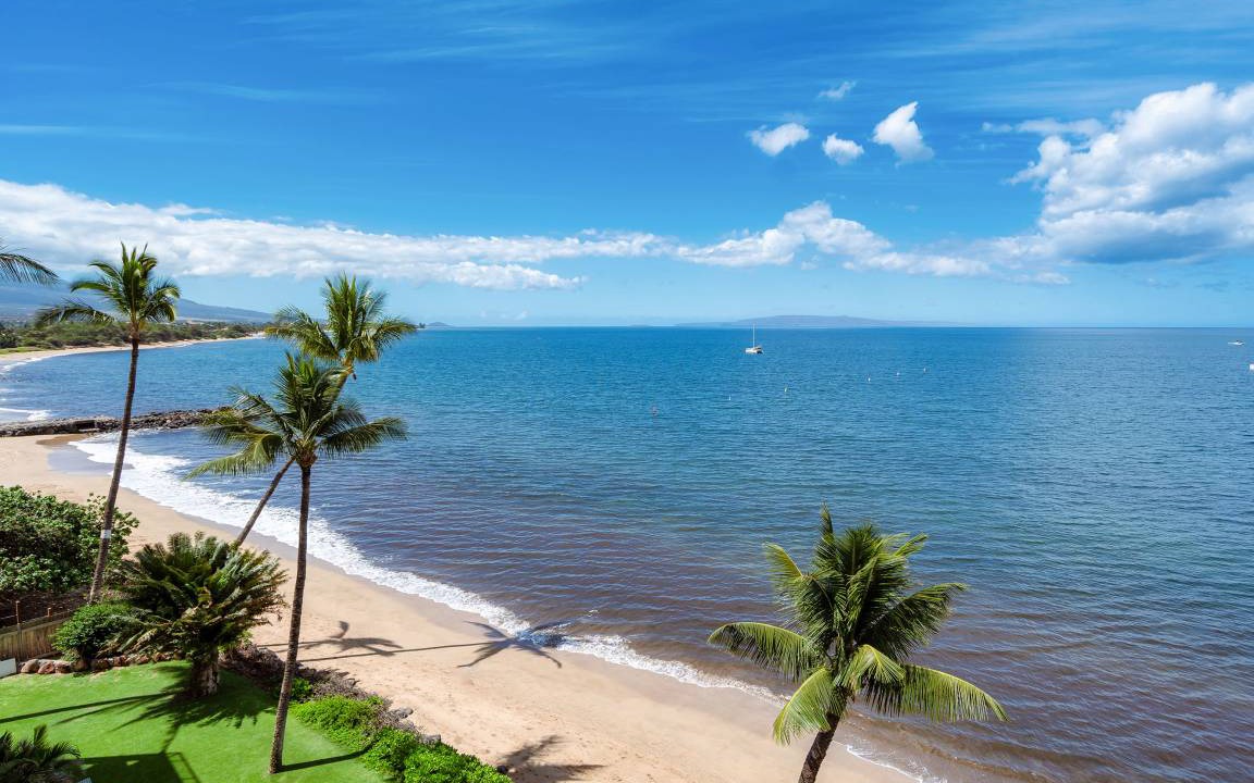 Photo of Others in Kihei