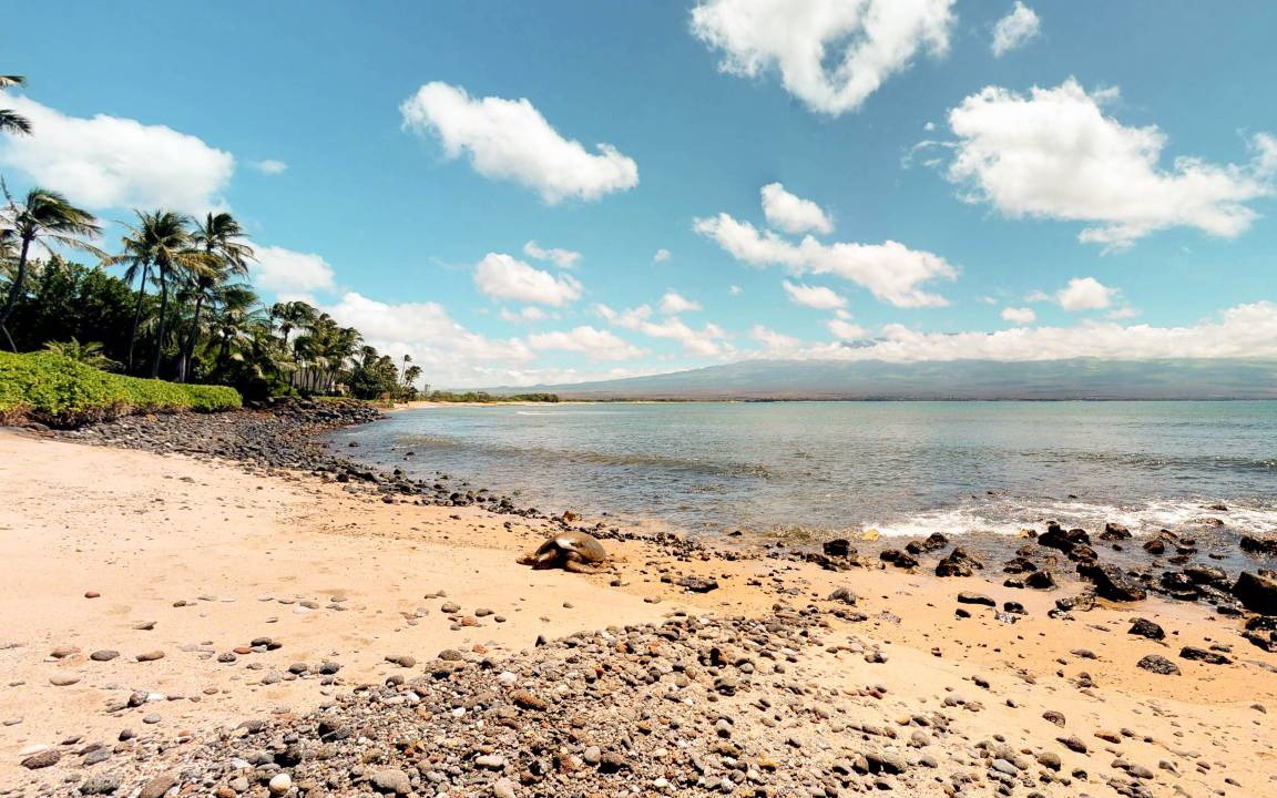 Photo of Others in Maalaea