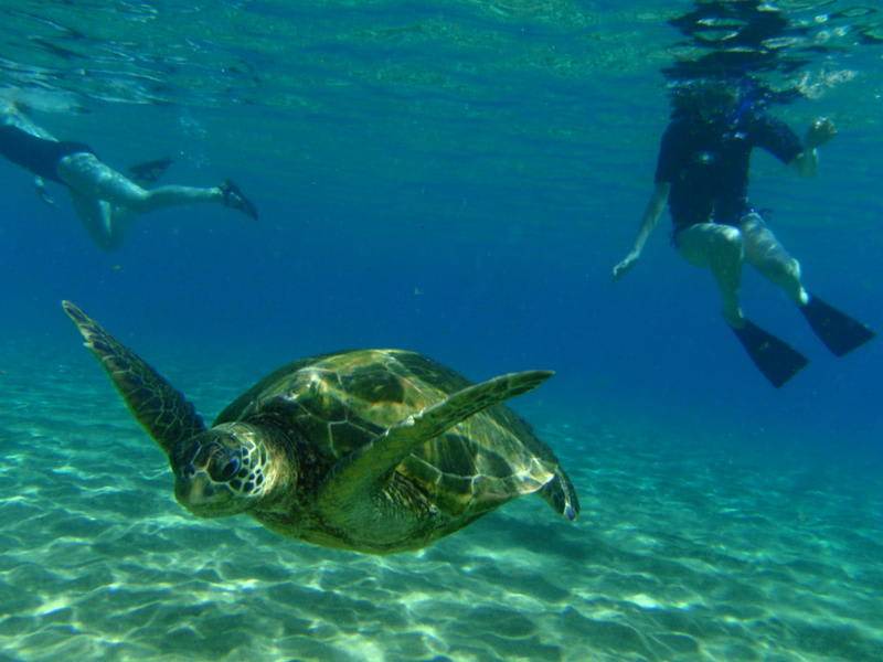 Photo of Others in Wailuku