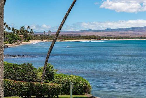 Photo of Others in Maalaea