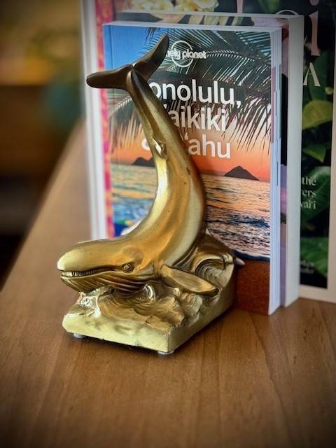 Photo of Others in Waikiki