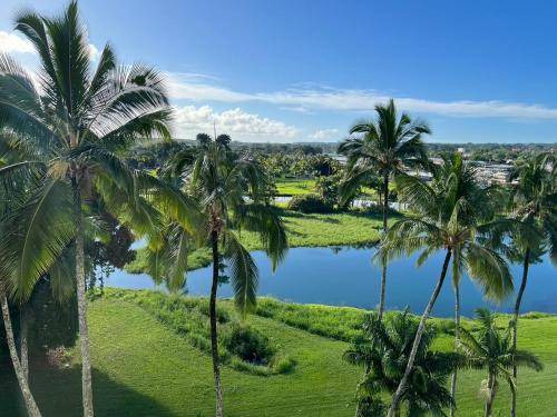 Photo of Others in Hilo