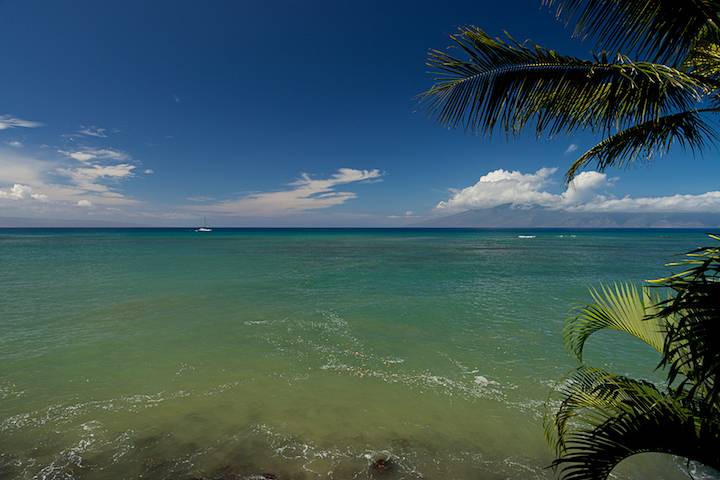 Photo of Others in Kahana