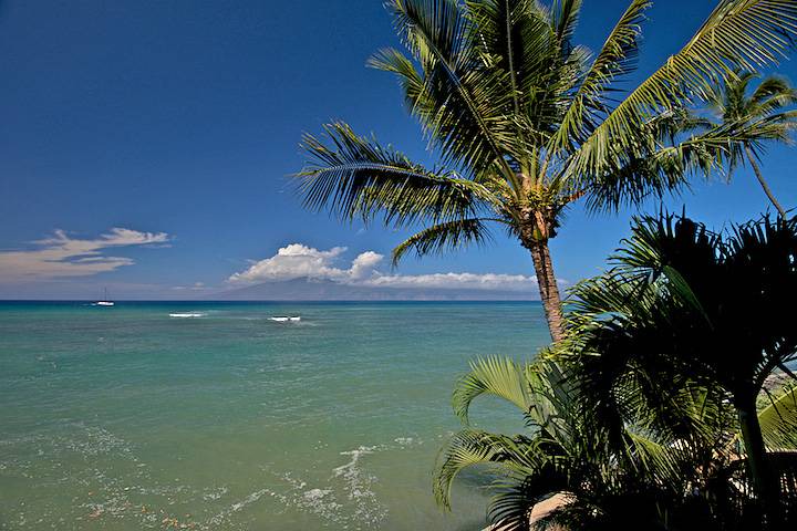 Photo of Others in Kahana