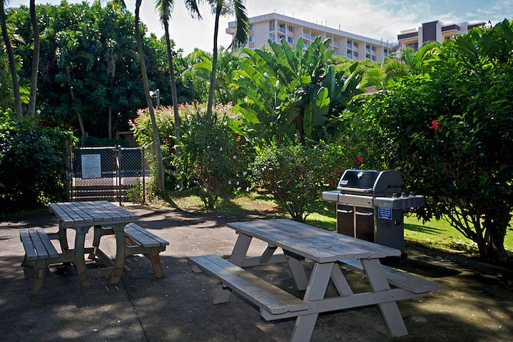 Photo of Others in Kahana