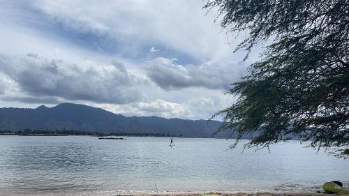 Photo of Outdoor in Waialua