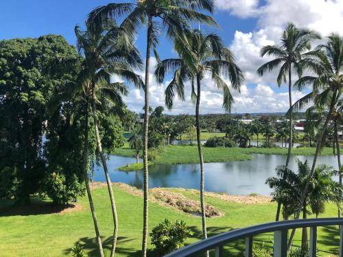 Photo of Others in Hilo