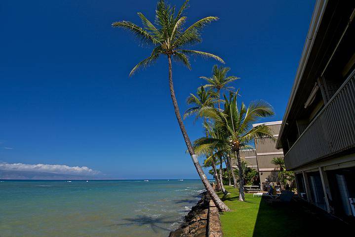 Photo of Others in Kahana